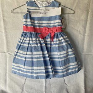 Slate Blue & White dress by Carter, 18 Month